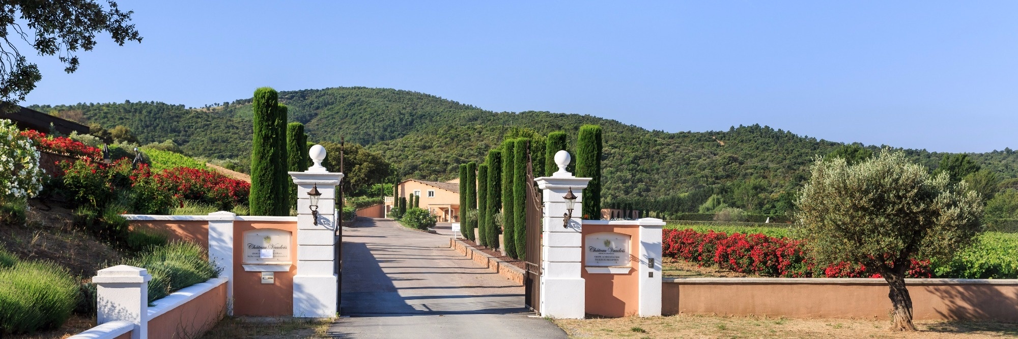 image de presentation